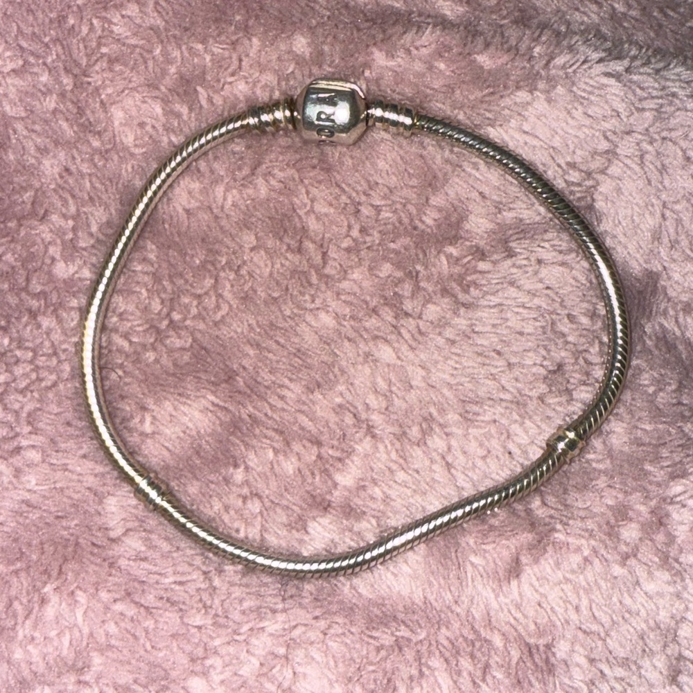 Pandora Snake Chain Bracelet